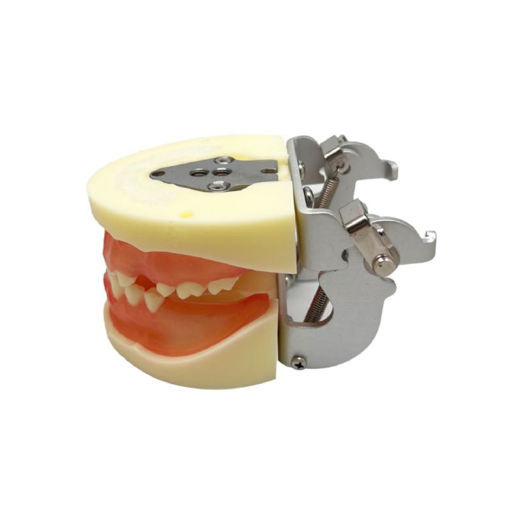 Implant practice Model JPS-M2002 – Shanghai JPS Medical Co., Ltd.