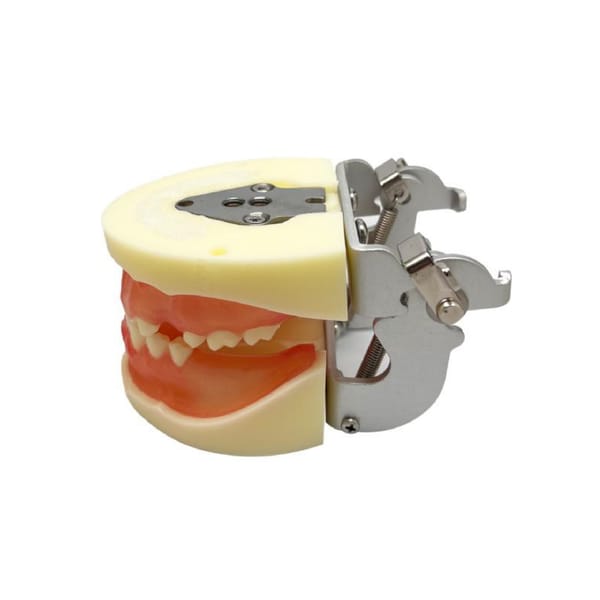 Implant practice Model JPS-M2002