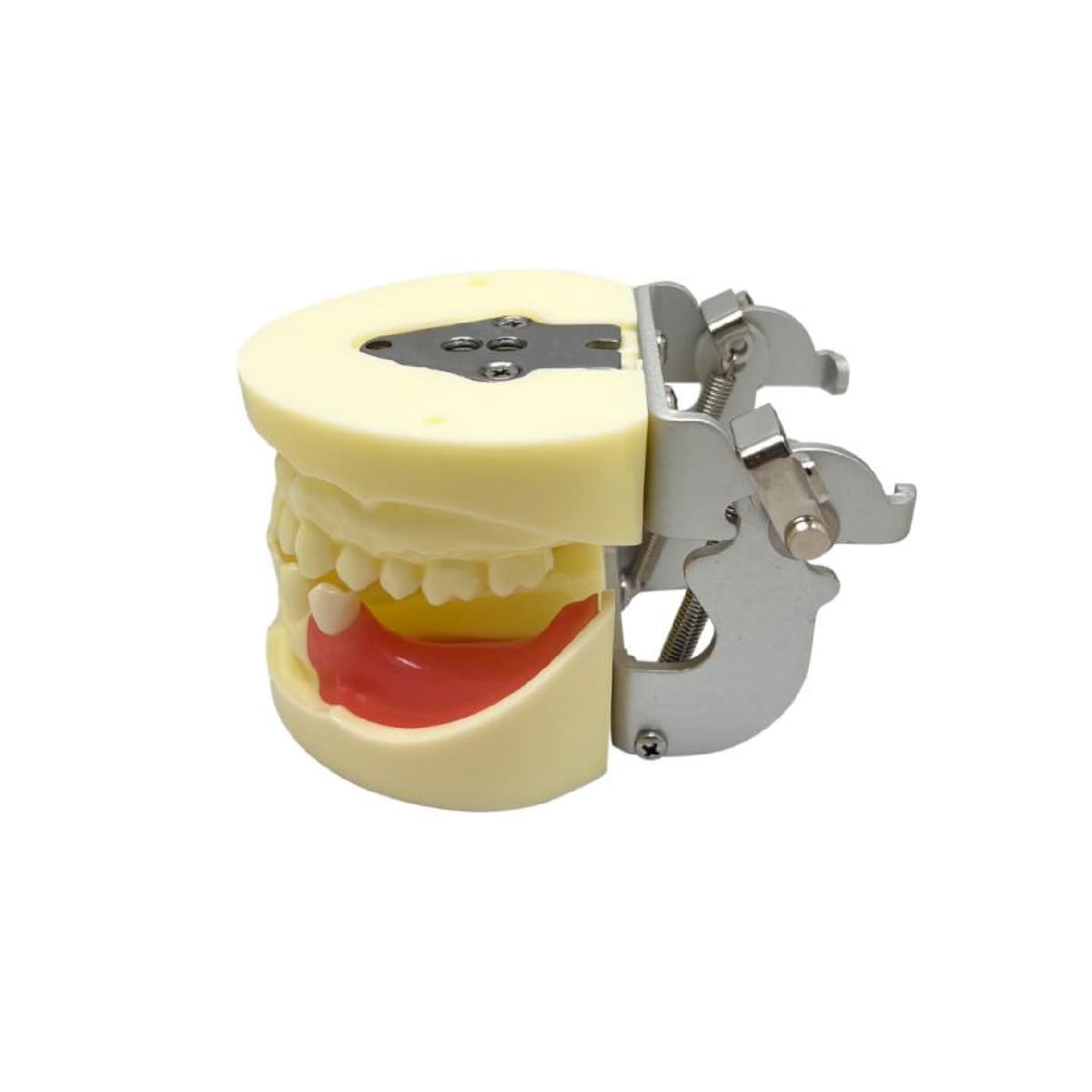 Implant practice Model JPS-TM-017 – Shanghai JPS Medical Co., Ltd., Equipment
