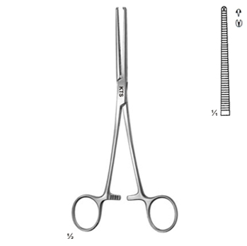 Kocher / Delicate – KT Surgico, Surgical Hand Instruments