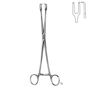 Schroder Gyne