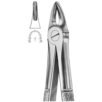 Extracting Forceps – KT Surgico, Extraction Forceps