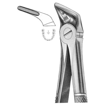 Extracting Forceps – KT Surgico, Extraction Forceps