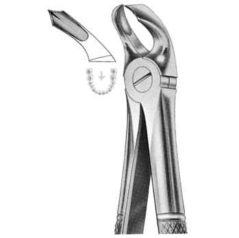 Extracting Forceps – KT Surgico, Extraction Forceps