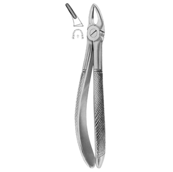 Extracting Forceps – KT Surgico, Extraction Forceps