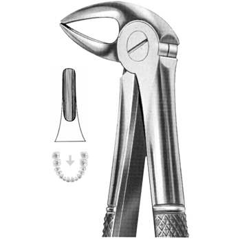 Extracting Forceps – KT Surgico, Extraction Forceps