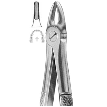 Extracting Forceps – KT Surgico, Extraction Forceps