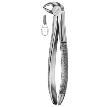 Extracting Forceps – KT Surgico, Extraction Forceps