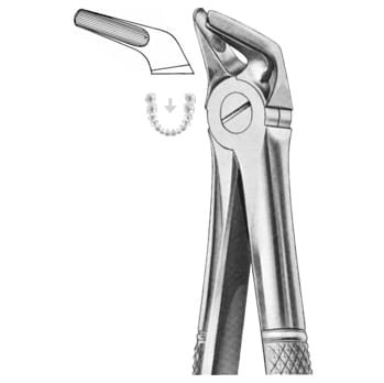 Extracting Forceps – KT Surgico, Extraction Forceps