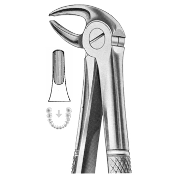 Extracting Forceps – KT Surgico, Extraction Forceps