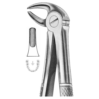Extracting Forceps – KT Surgico, Extraction Forceps