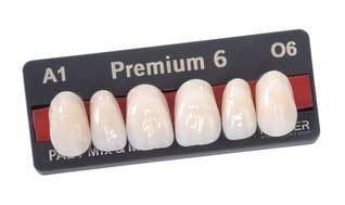 Premium – Kulzer, Denture Resins