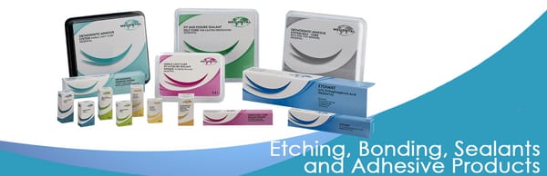 Self Cure Pit and Fissure Sealant