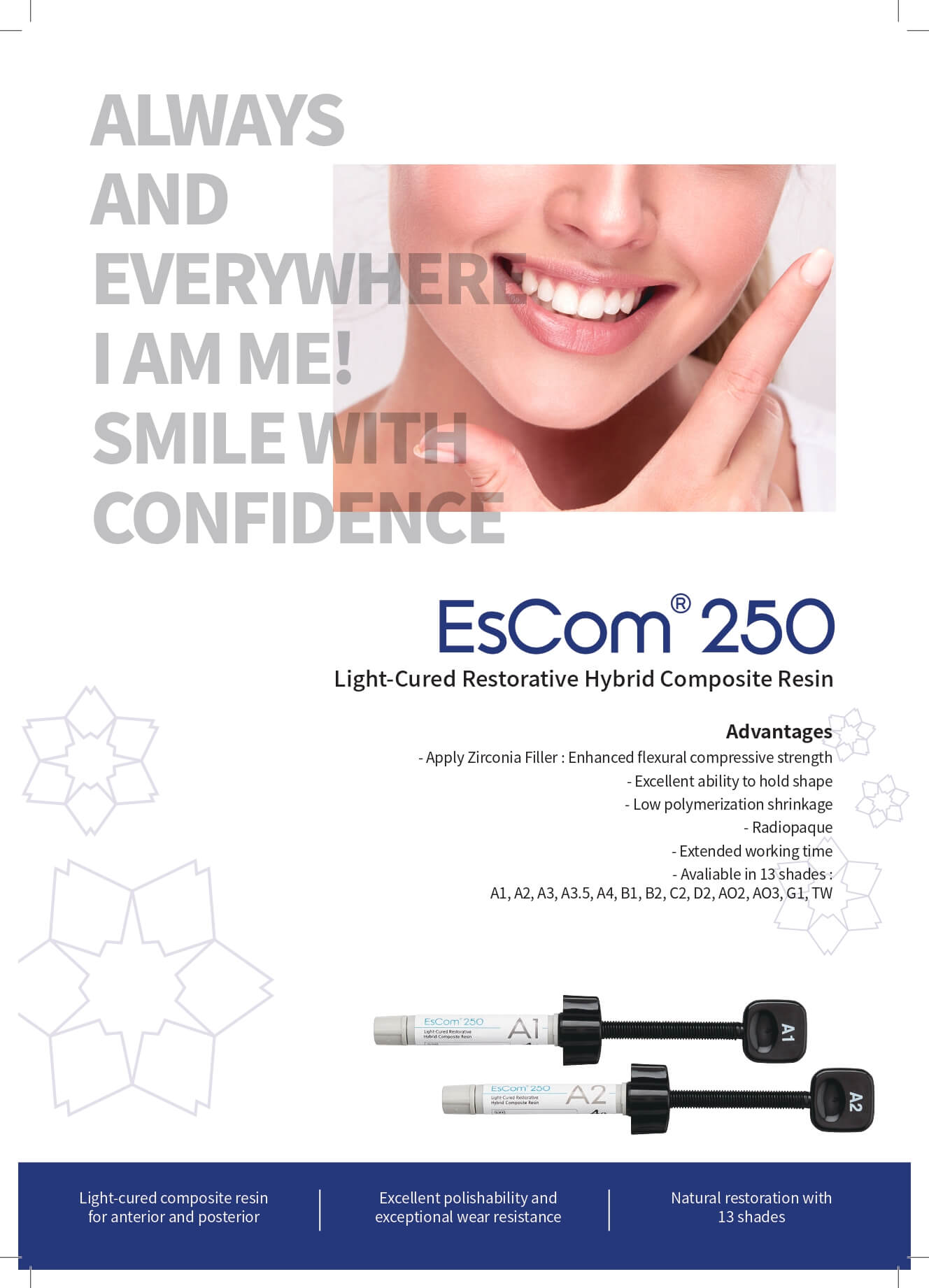 Φυλλάδιο Σύνθετης Ρητίνης Spident EsCom 250