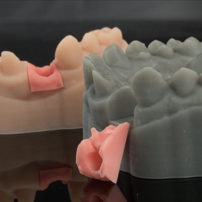 Organic 3D Gingiva ECO – Organical CAD/CAM, Druckharze
