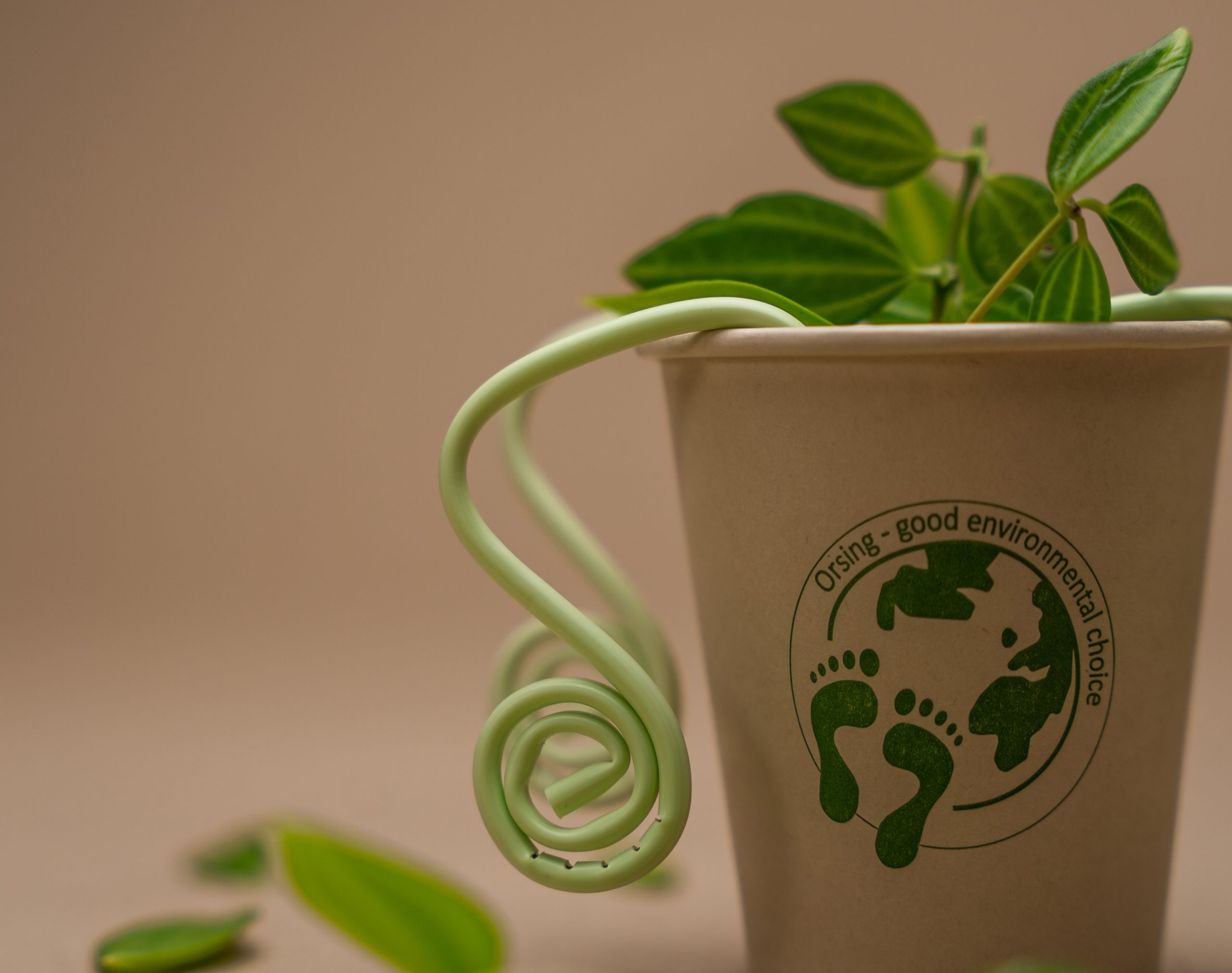 BIO CUP – J.H. Orsing AB, Cups & Rinse Supplies