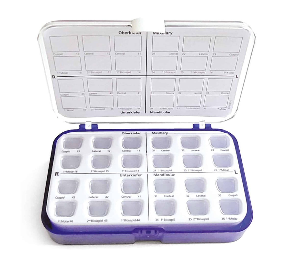 Boîte de rangement pour brackets – Orthobasics GmbH & Co. KG, Brackets