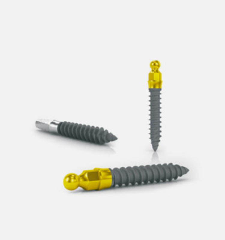 MICRO – Biomec S.r.l., Implants