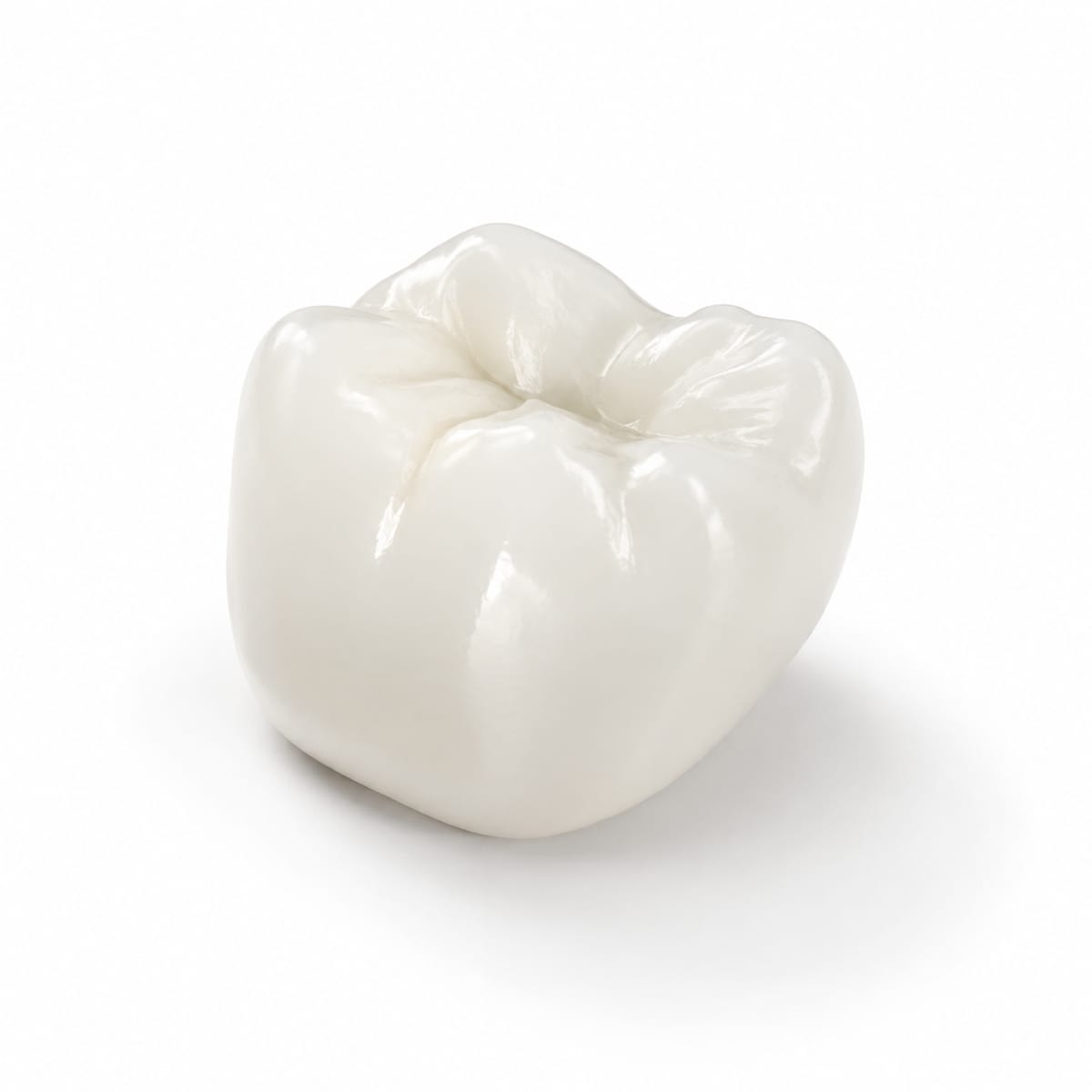 Rodin 3D Pediatric Crowns RPC – Pac-Dent , Inc., Denture Base/Teeth