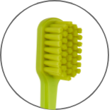 1580 Soft – Pesitro Healthcare Products Co.,Ltd, Zahnbürsten