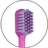 PESITRO Classic – Pesitro Healthcare Products Co.,Ltd, Zahnbürsten