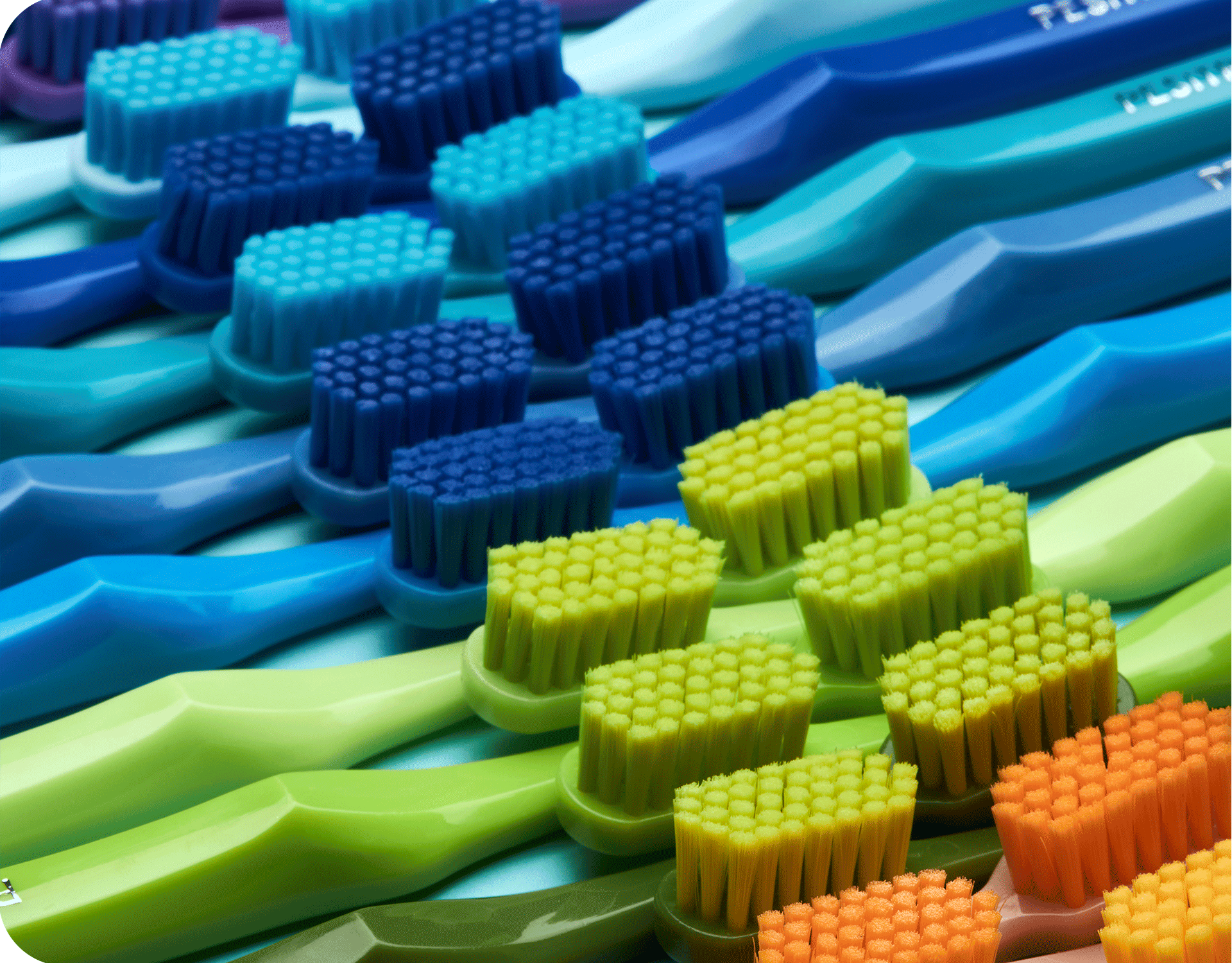 Adult toothbrushes – Pesitro Healthcare Products Co.,Ltd, Toothbrushes
