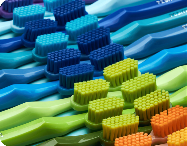 Brosses à dents adulte