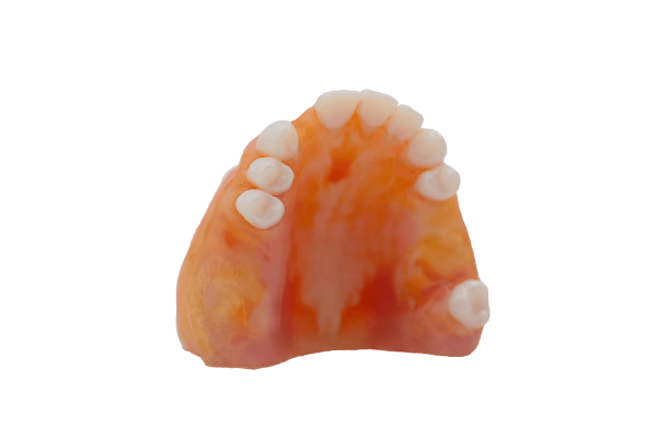 TrueJaw Implant Maxilla – PlanB Dental, Endodontic Accessories