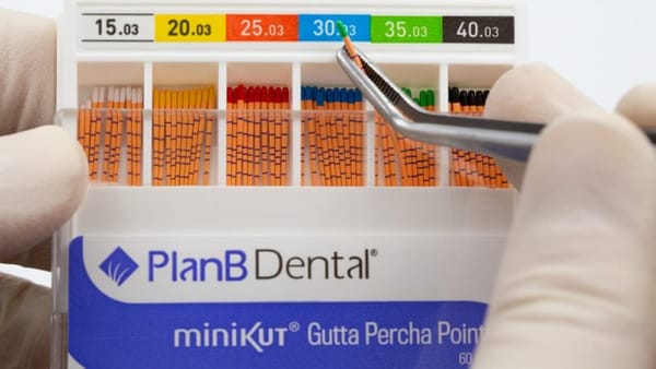 Cônes de gutta-percha assortis miniKUT