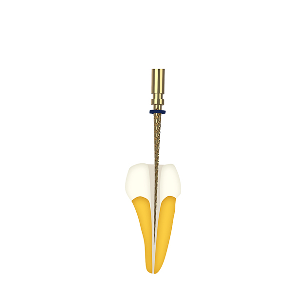 Endomoteur dentaire JS300
