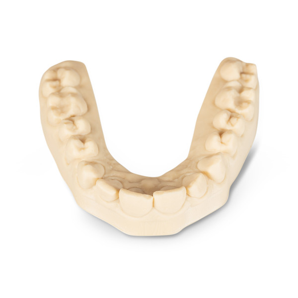 Kontrollmodell – Baumann Dental, Die & Model Materials
