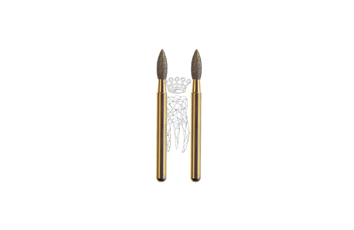 FG-Diamanten für 1333 - 1 Paar Schaft Ø 1.6 mm – Carl Martin, FG (Turbine)