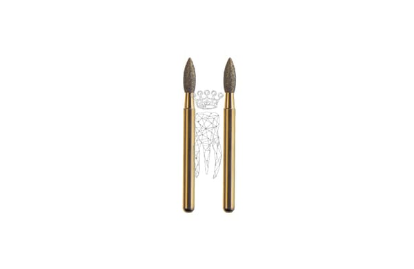 FG-Diamanten für 1333 - 1 Paar Schaft Ø 1.6 mm