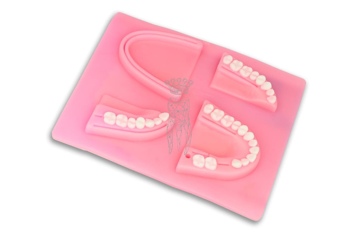 Dentalnaht-Übungspad - Gebissform – Carl Martin, Accessories for Suture Materials