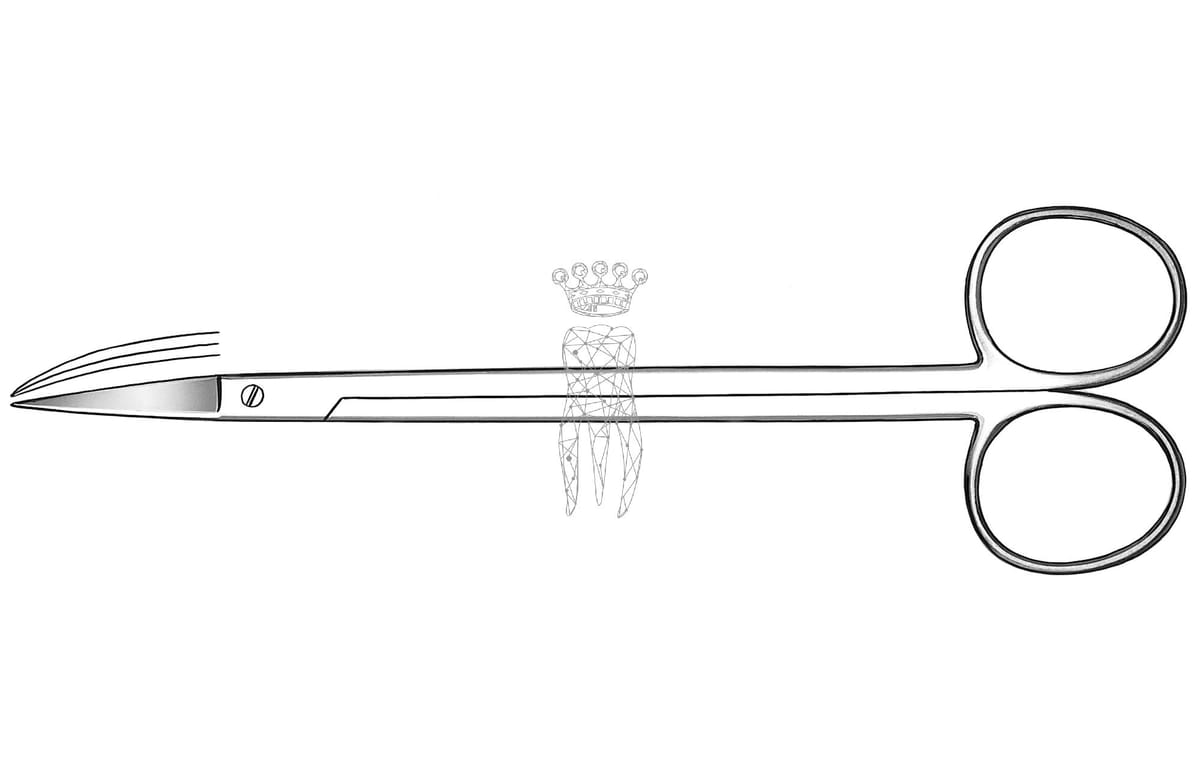 Chirurgische Schere Kelly gebogen gebogen gezahnt 16cm – Carl Martin, Sonstige chirurgische Instrumente