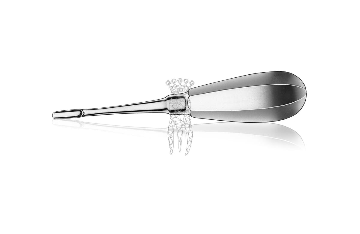 Wurzelheber Bein 4.5mm – Carl Martin, Wurzelheber