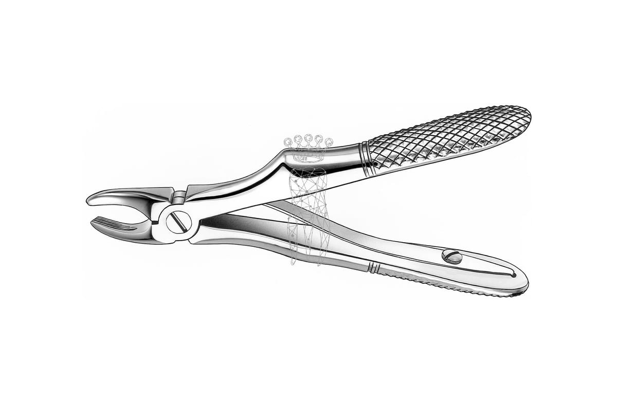 Kinderzahnzange Haftprofil mit Feder OK Eckzähne – Carl Martin, Pediatric Extraction Forceps