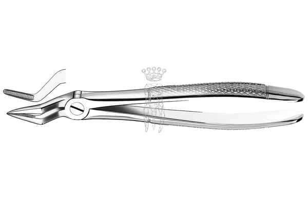 Zahnzange Haftprofil OK Wurzeln
