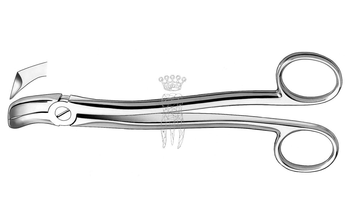 Zahnzange Köhler UK Weisheit – Carl Martin, Extraction Forceps Lower Jaw