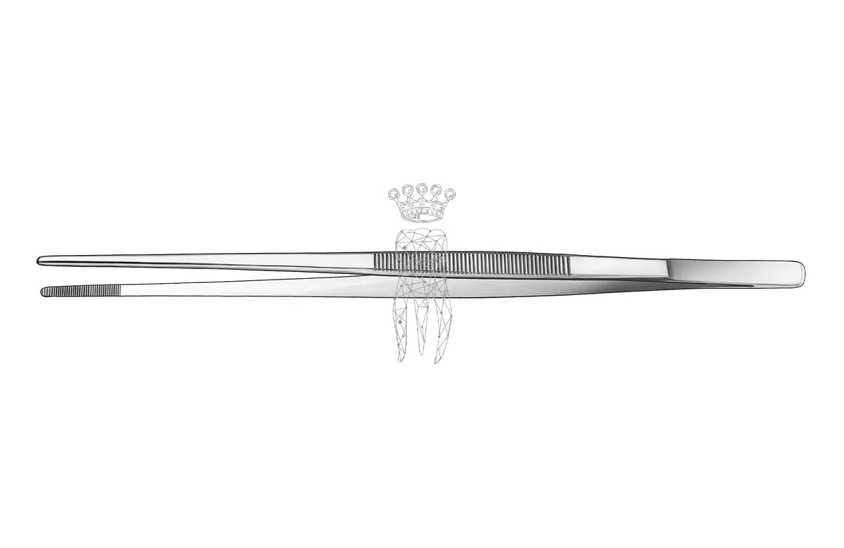 Ofenpinzette 30cm – Carl Martin, Pinzetten