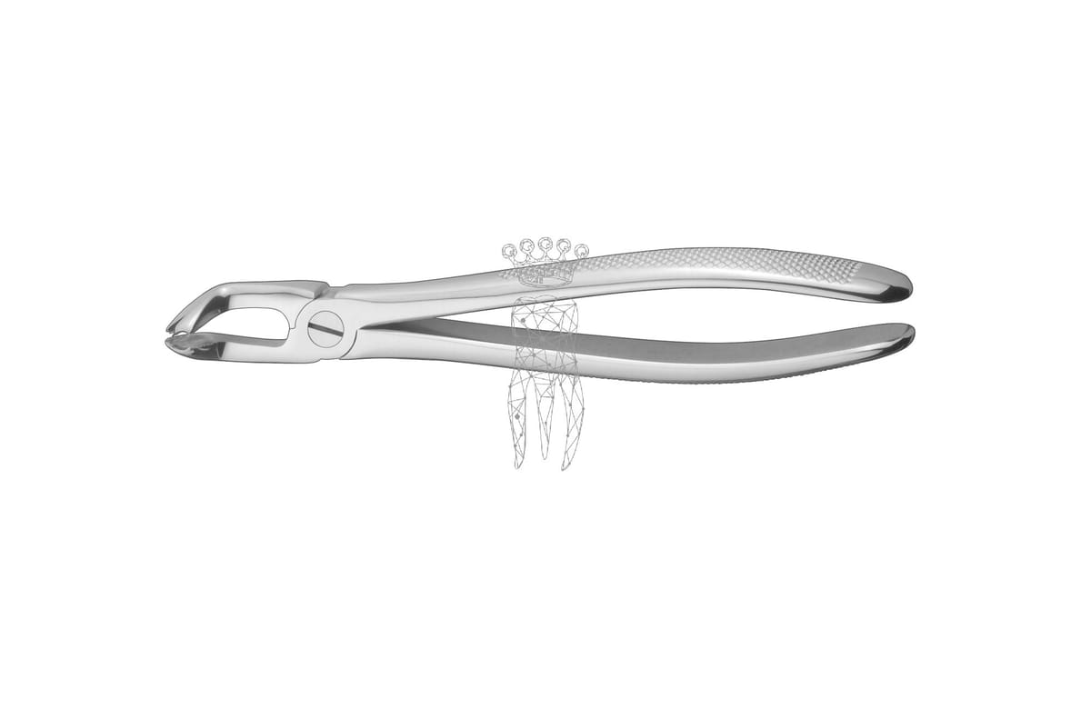 Zahnzange Haftprofil UK Weisheit – Carl Martin, Extraction Forceps Lower Jaw
