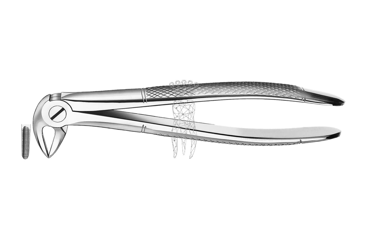 Zahnzange Haftrpofil UK Wurzeln – Carl Martin, Extraction Forceps Lower Jaw