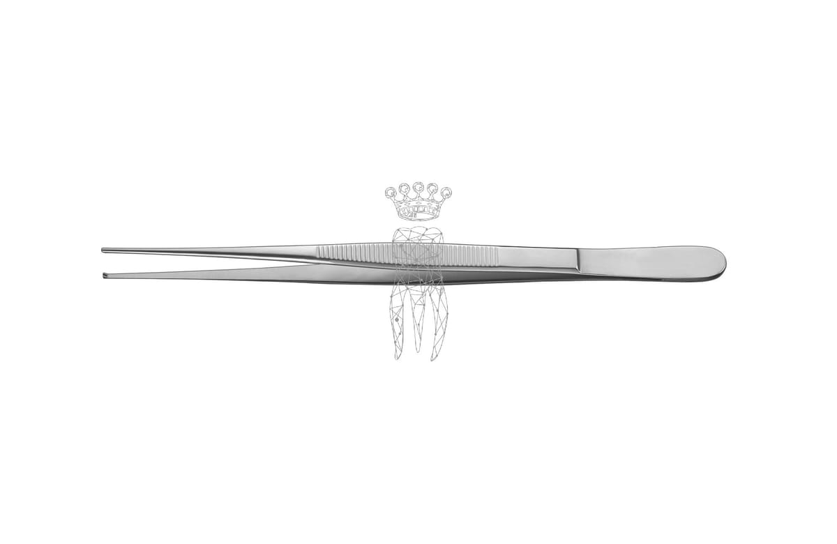 Pinzette chirurgisch 18cm delikat – Carl Martin, Surgical Tweezers
