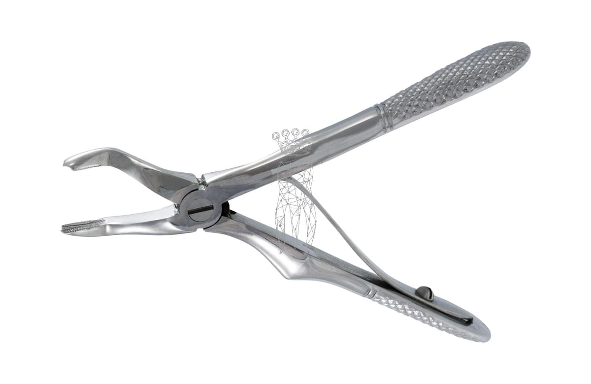 Kinderzahnzange Haftprofil mit Feder OK Molaren – Carl Martin, Pediatric Extraction Forceps