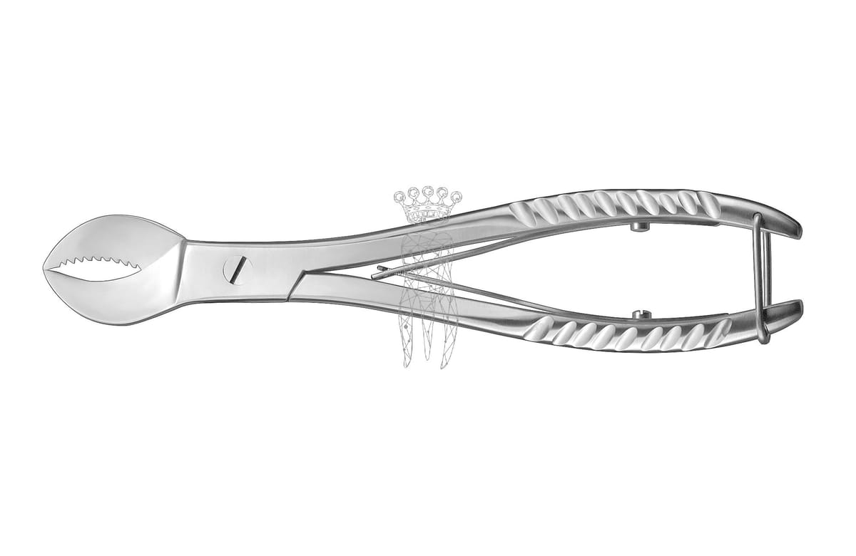 Gipsbrecher – Carl Martin, Other Dental Laboratory Instruments