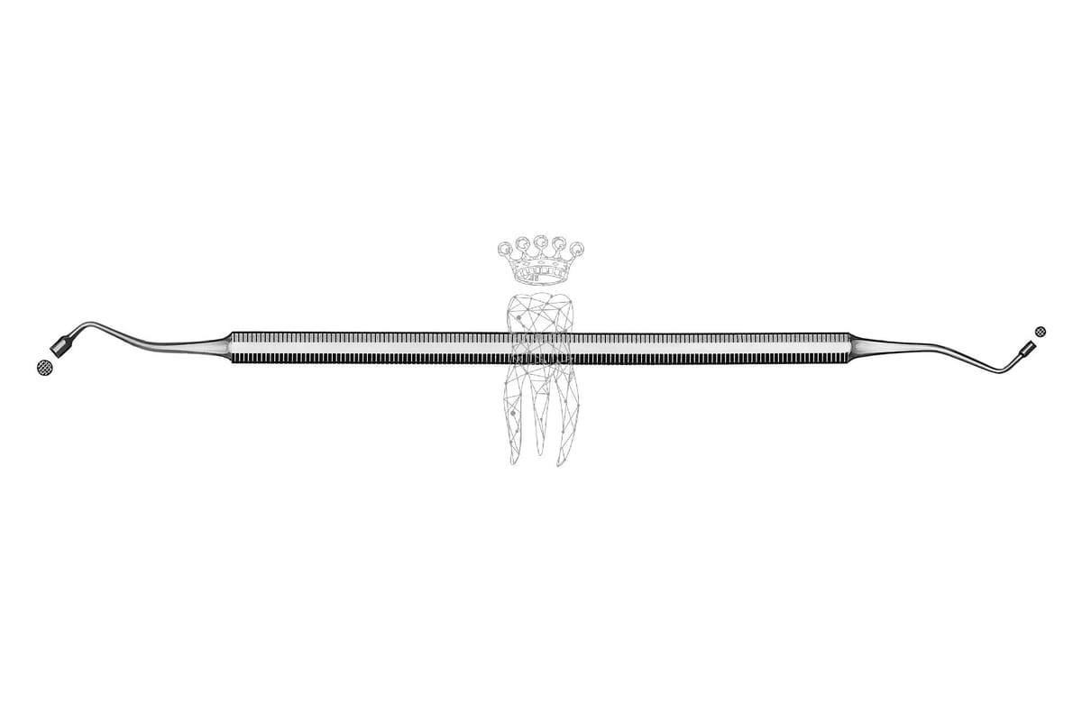 Füllungsinstrument Ash Ø 1.5mm/2.5mm – Carl Martin, Composite Instruments