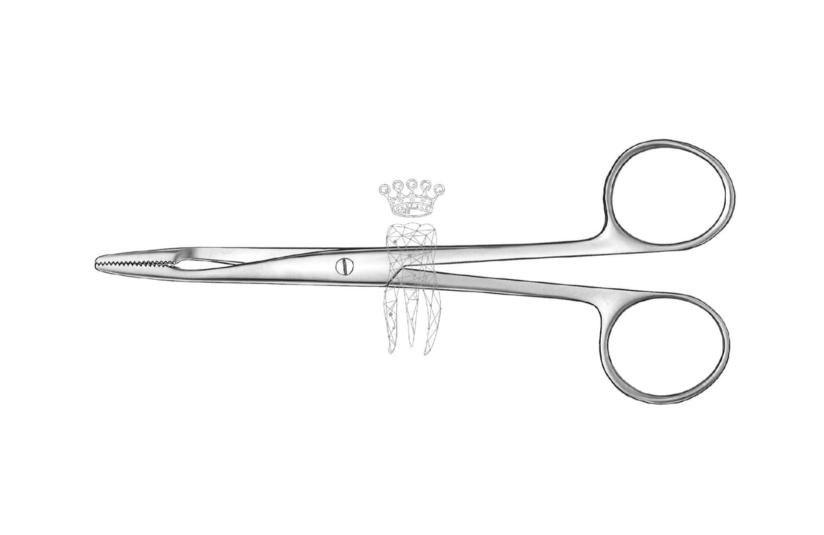 Kornzange 20 cm – Carl Martin, Pinzetten
