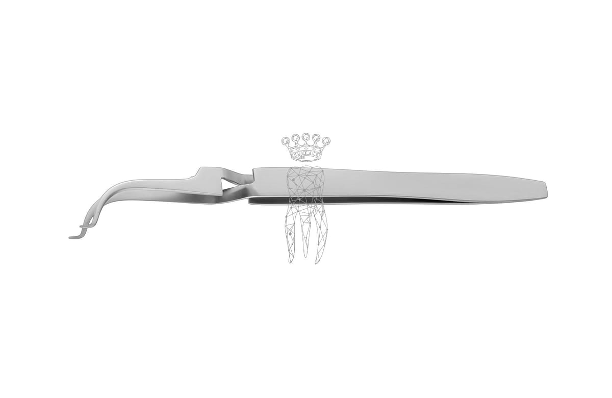 Bukkalröhrchen-Platzierpinzette extra fein – Carl Martin, Bonding Tweezers
