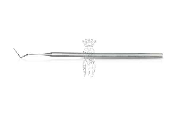 Sonde