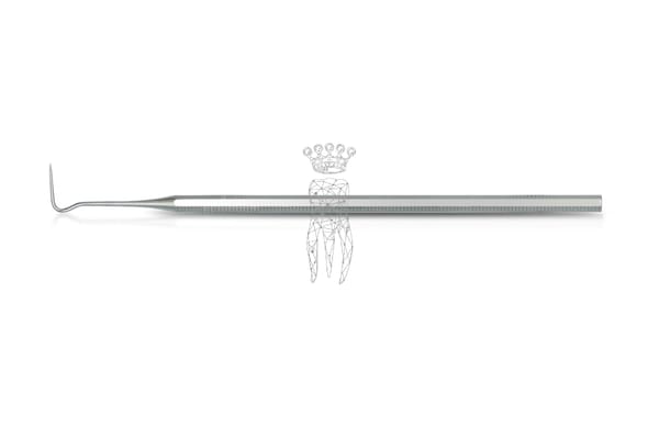 Sonde